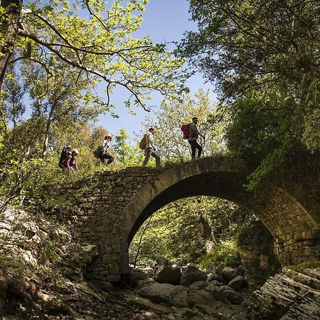 Abeliona Guesthouse Ambeliona エクステリア 写真